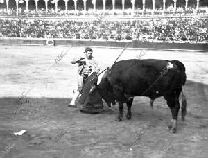 Cocherito Entrando A Matar. Foto barrera