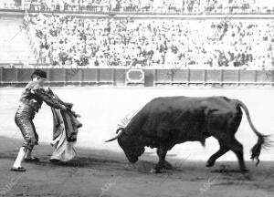 Manuel Martín Vázquez, Lanceando de capa al primer Toro