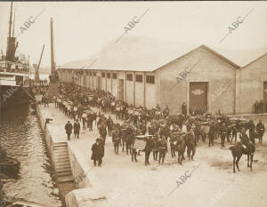 Desfile de la primera batería del primero regimiento de artillería de montaña al...