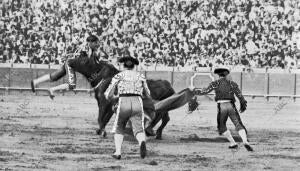 De la corrida de Toros del sábado en Sevilla emocionante Cogida del diestro...