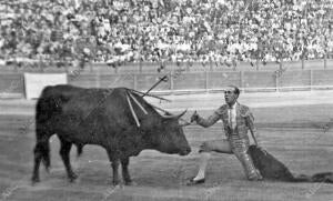 Sánchez Mejía Adornándose después de la faena Realizada A su primer Toro