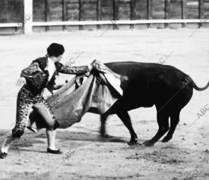 Em la corrida de Toros del Domingo. Paradas Rematando un Quite
