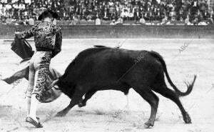 el diestro Sevillano "el Marino" Toreando de capa al Toro que lidio entre...