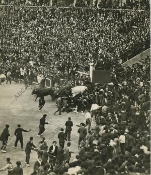 Encierro de los toros de Santa Coloma que se lidiaron en la primera de feria de...