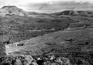 Vista general de la huerta de Vega de Murcia