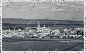 Vista general de la palma del Condado (Huelva)