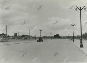 Prolongación de la Castellana, conocida por aquél entonces como "avenida de los...