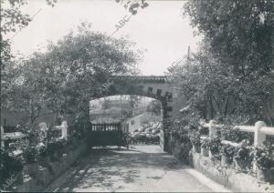 Rincón Lagunero -foto A. Benitez