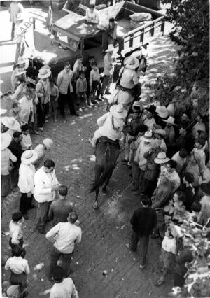 Momento de Ponerse en marcha las Milicias Andaluzas de Caballería, para Unirse A...