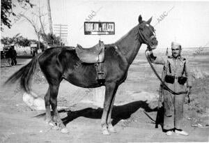 Caballo que Fue Cogido, junto con Otros Muchos, A los Moros