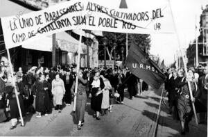 Un aspecto de la gran Manifestación, en Barcelona, con motivo del Xix...