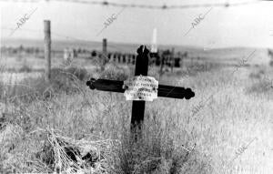 Una de las Seiscientas Cruces que Cubren los Campos de Paracuellos del Jarama