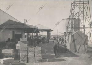 Pescadería de isla Cristina (Huelva)