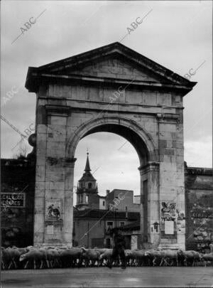 Pastor con sus Obejas delante de la puerta de Madrid en Alcalá de Henares,...