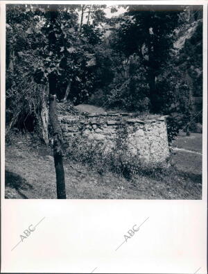 Trampa "el Chorco" para cazar Lobos Vivos, en la Cuenca del Cares, que Existe...