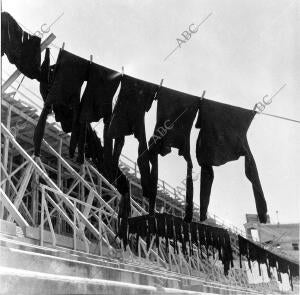 Mientras se producían las obras de ampliación del estadio Santiago Bernabéu, se...