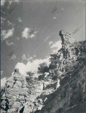 Picos De "cabeza Pardas" en Sierra morena