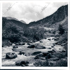 El río Aiguamoix, que Sigue el camino que lleva su nombre por Paisajes y Bosques...