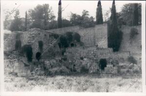 Aspecto de las Ruinas de Medina Azahara