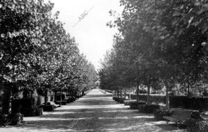 Vista del paseo del parque de Isabel la Católica en Gijón (Asturias)