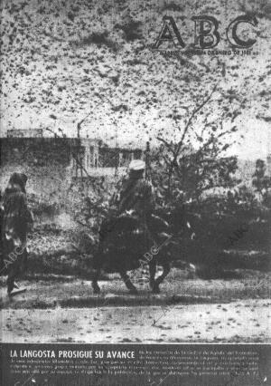 ABC MADRID 14-01-1955