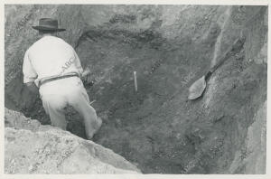 La estaca indica el lugar exacto del hallazgo