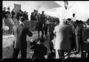 Caballo1