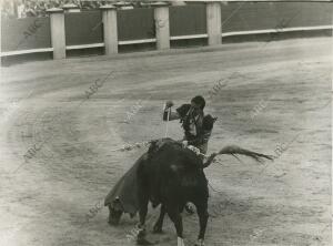 Participó entre Otros el diestro pepe Cáceres, al cual se ve en la fotografía