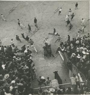 Pamplona. Julio de 1962. Encierrros de Sanfermín. Entrada de los toros en la...