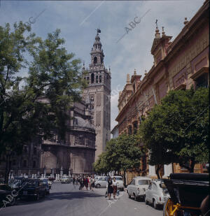 (CA.) Una de sus calles con vistas a la Giralda y a la Catedral