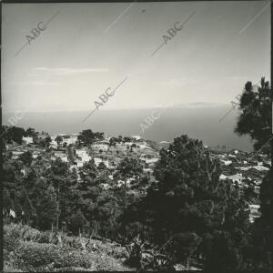 Fuencaliente de la Palma (Santa Cruz de Tenerife), agosto de 1966