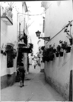 Descripcion: una calle de Marbella (Málaga)