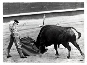 Paco camino fecha Aproximada