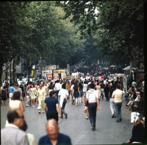 Un hermoso aspecto de la Rambla de las flores