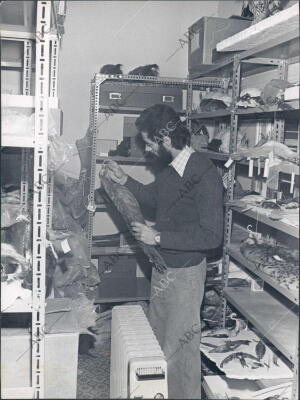 Investigadores en el laboratorio del coto de Doñana