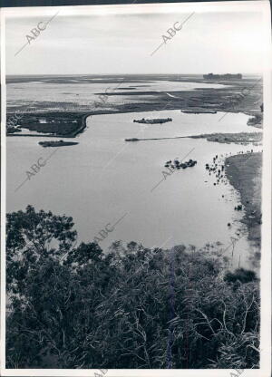 Marismas en el coto de Doñana