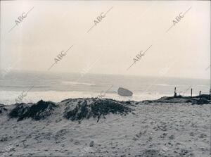 Playa Cercana al coto de Doñana