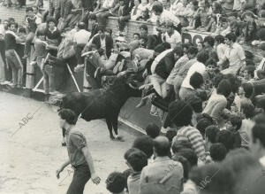 San Sebastián de los Reyes (Madrid), 1979 (CA.)