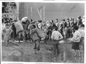 Inundaciones en Valencia en octubre de 1982: Alcira