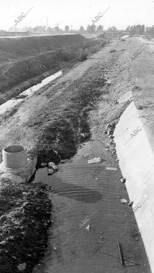 meandro de san jerónimo