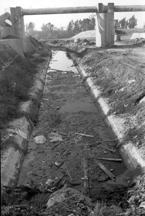 meandro de san jerónimo
