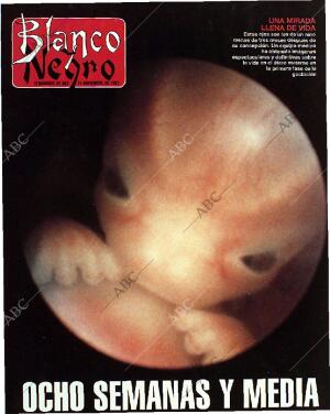 BLANCO Y NEGRO MADRID 14-11-1993