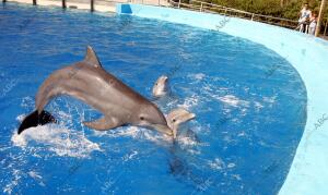 Parque Oceanográfico de Valencia, en la Ciudad de las Artes y de las Ciencias