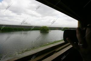 situación de Sequia en el parque nacional de las Tablas de Daimiel en la...