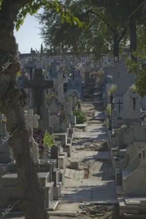 Cementerio de la Almudena. Víspera del día de todos los santos