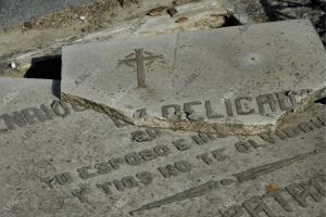 Cementerio de la Almudena. Víspera del día de todos los santos