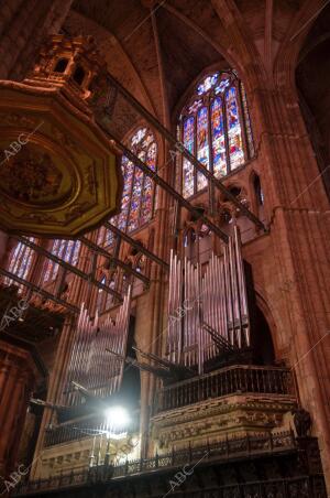 Leon. 26-09-2013. Catedral de Leon. Nuevo Organo. Archdc....Ana M. diez