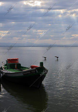 Rober Solsona....20140424...Valencia.......Parc natural de la Albufera.Archdc