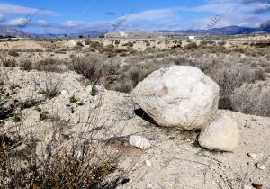 Rio Seco (Muchamiel) Foto Juan Carlos Soler archdc