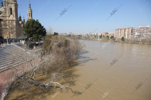 Crecida del río Ebro foto Fabián Simón ARCHDC